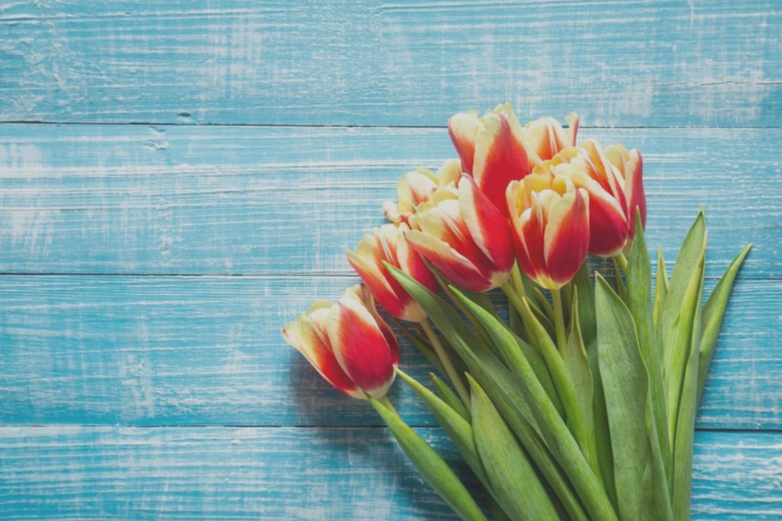 مشهد من ورشة تنسيق الأزهار في نكسارو